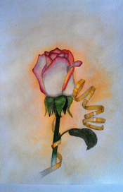 Роза - лучший подарок