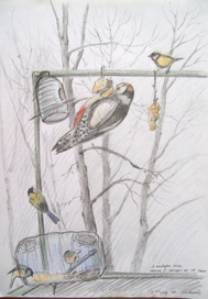 дятел на кормушке