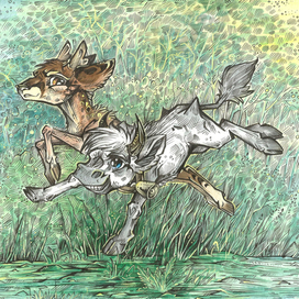 Наперегонки