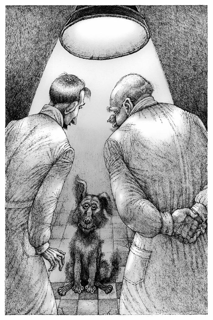 Булгаков. Собачье сердце.