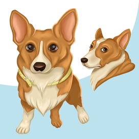 Иллюстрации для упаковки корма для собак