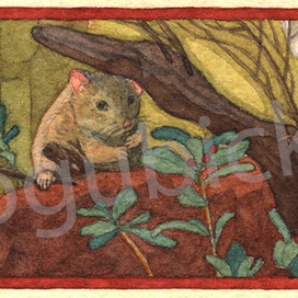 иллюстрация к сказке