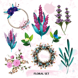 Сет векторных цветов