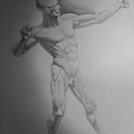 академический рисунок экорше-лучник