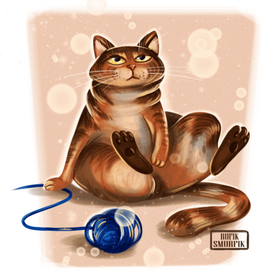 Кот Венечка