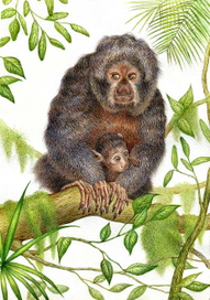 Нюрочка с сыночком.