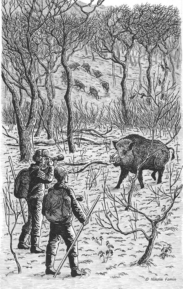 Ты чё, кабан?!