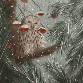 Зимняя гостья