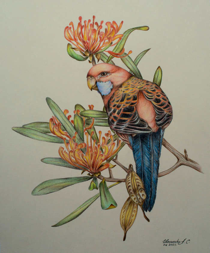 Красный попугай. Цветы