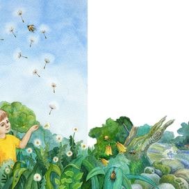 Одуванчики