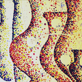 Иллюстрация. Утренний свет.Натюрморт