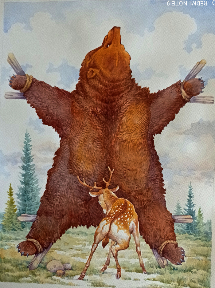 К книге Сергеева