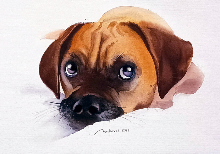 ,,Г-гав! Я позирую,,