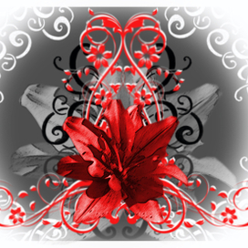 Эскиз. Красная лилия