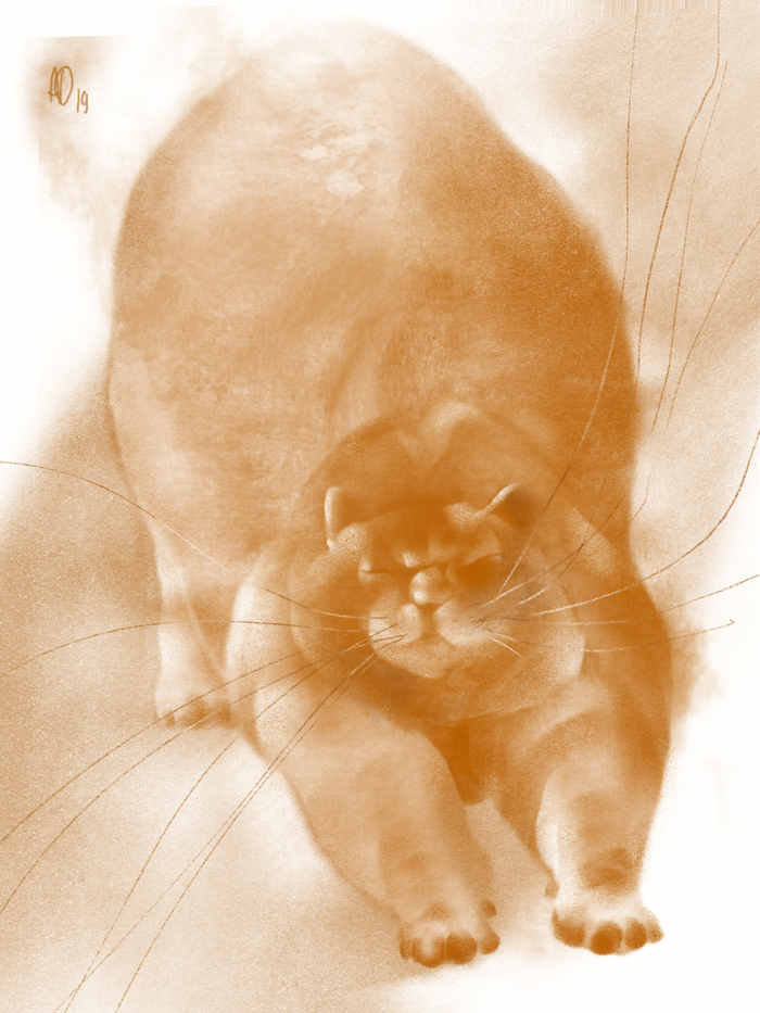 Почти проснулся