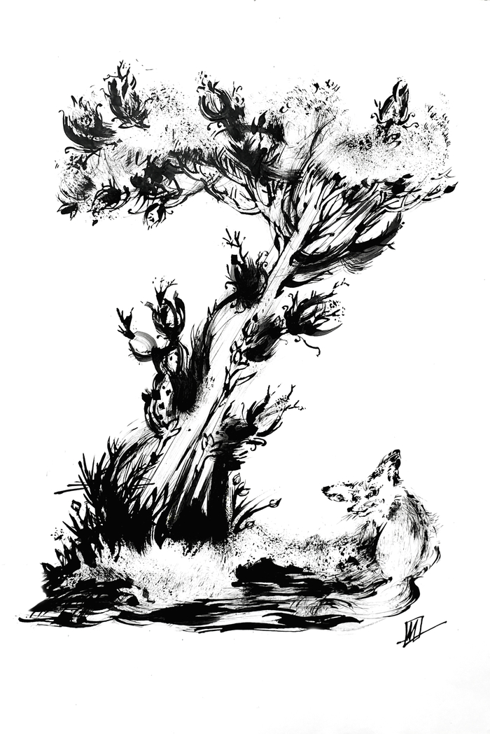 Алфавит: буква Z