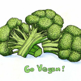 go vegan