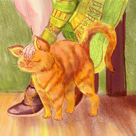 У меня к тебе мур-мур