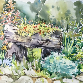 Зелёная медитация 