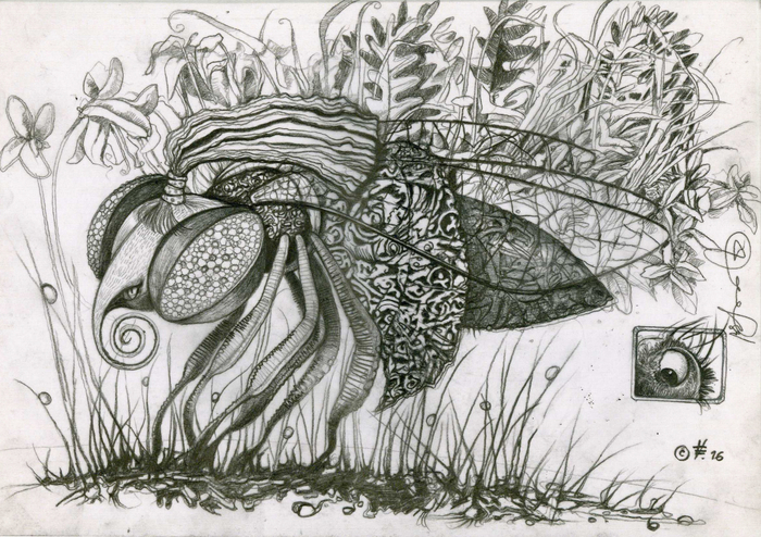 . Fairy tale "The Adventures of Flies in the Spider country". 2016 .