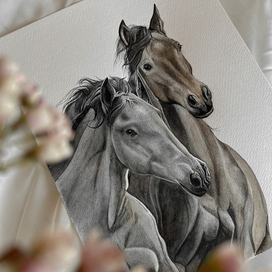 Свобода и Любовь