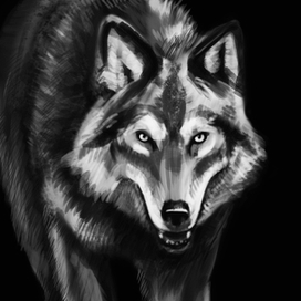 Волк