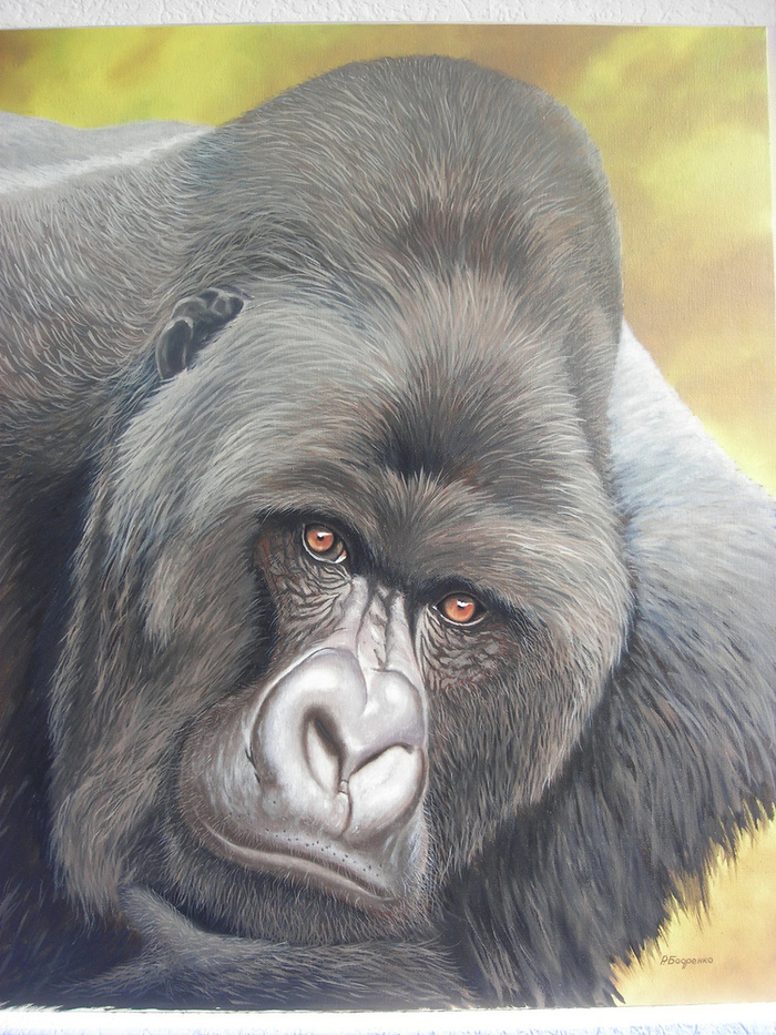  Задумчивый взгляд  