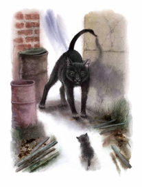 Маленькая аналостанка