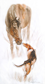 Граф и Гайда