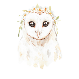 Сова с ромашками