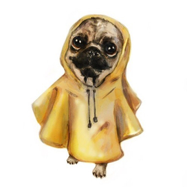 в дождевике