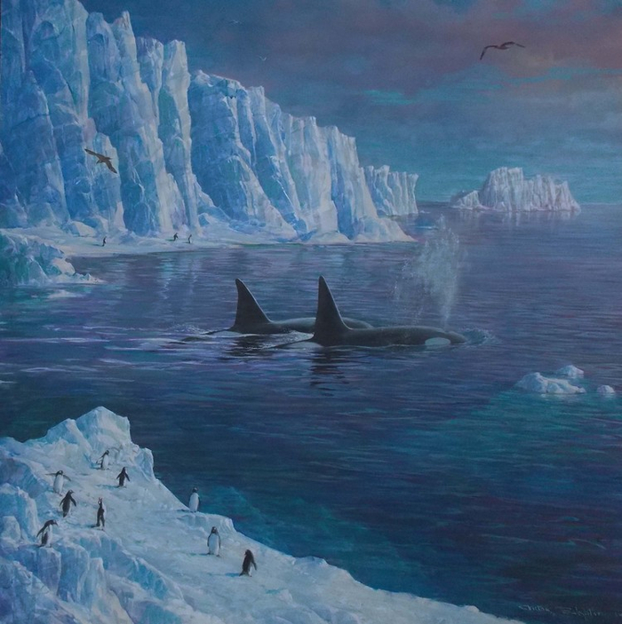 Береговой патруль