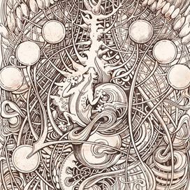 Саламандра. Февраль