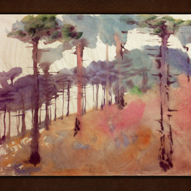 Чодное место