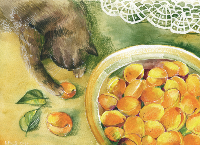 Кошка и абрикосы