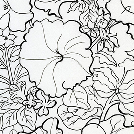 Цветы для раскраски