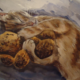 Сладкие объятия