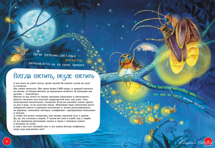 Иллюстрация к книге " Я-Жук"