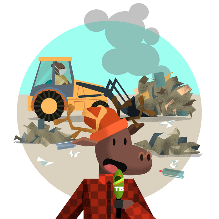 Год экологии в России 2