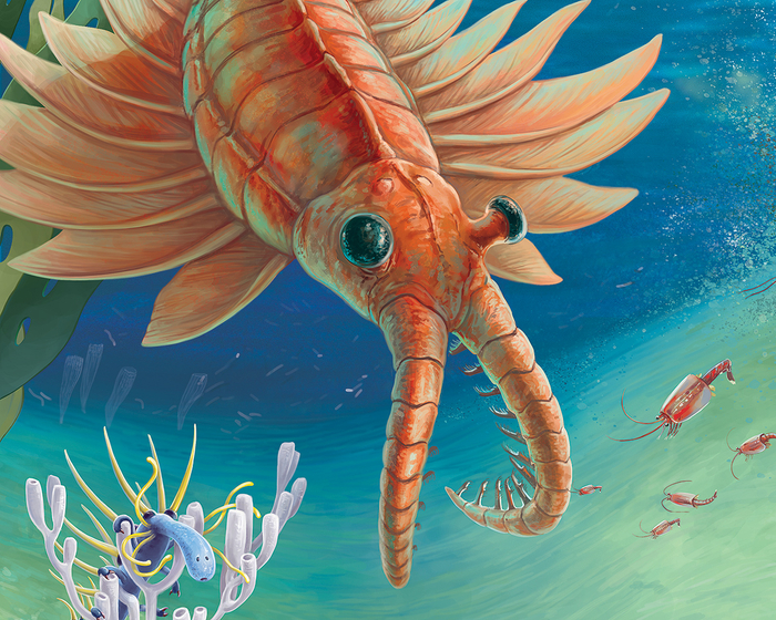 Кракозябры