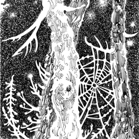 Паутина в соснах