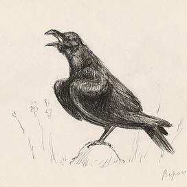 Серия "Птицы"