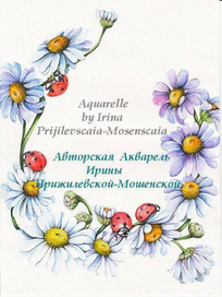 Ромашки и Божьи Коровки