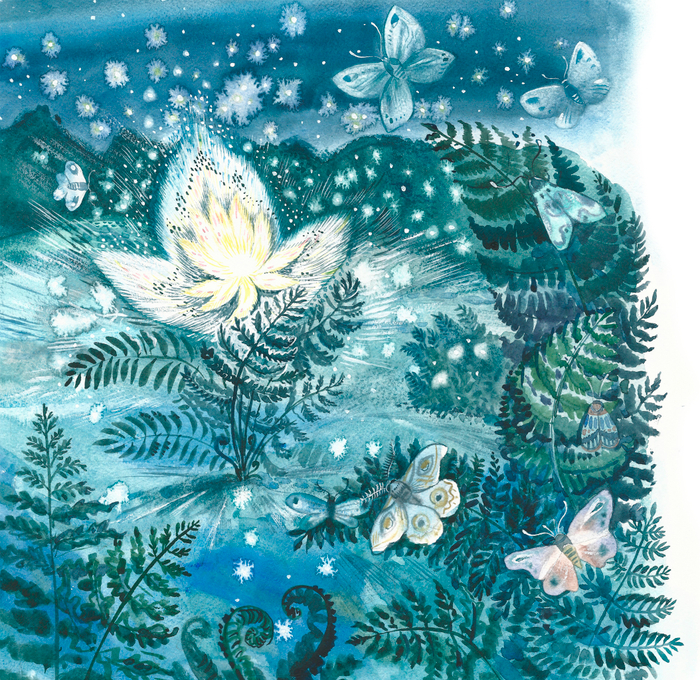 цветок папоротника