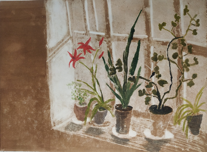 Цветы на окне