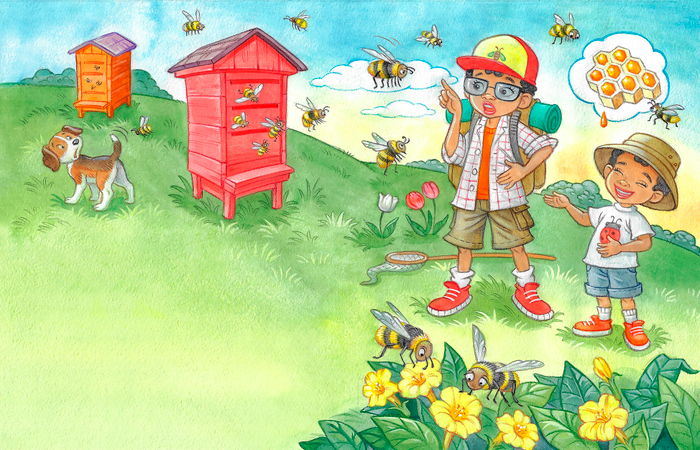 иллюстрация к книге о насекомых