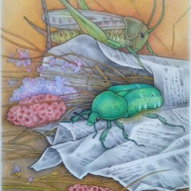 Пассажиры из свёртка