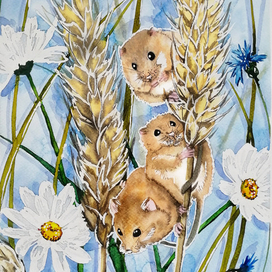 Полевые мышата на колосьях пшеницы
