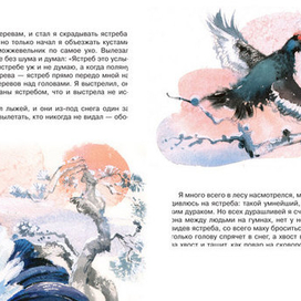 Серия времена года: Зима