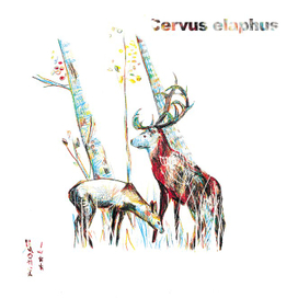 Олени в лесу